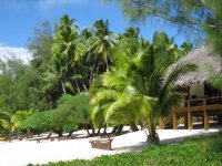 Aitutaki3.jpg