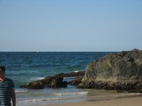 IMG_8978569611456.JPG