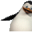 Leshka