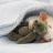 Little Mouse