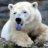 Polar